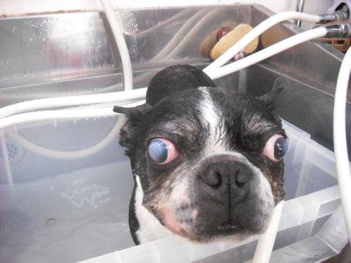 ファイル 70-2.jpg