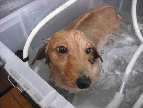 ファイル 700-2.jpg