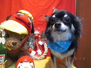 ファイル 7002-2.jpg