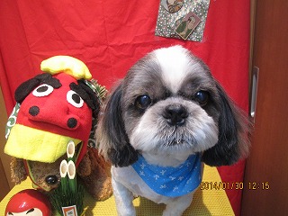 ファイル 7003-2.jpg