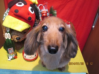 ファイル 7004-2.jpg