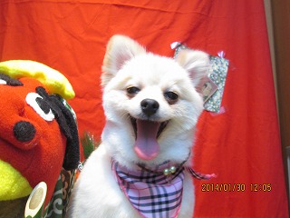 ファイル 7005-2.jpg