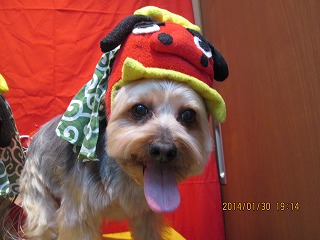 ファイル 7006-1.jpg