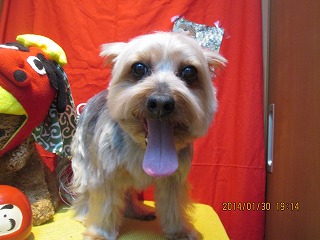 ファイル 7006-2.jpg