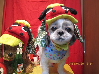 ファイル 7007-1.jpg