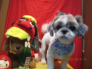 ファイル 7007-2.jpg