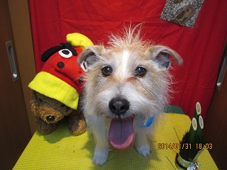 ファイル 7009-2.jpg