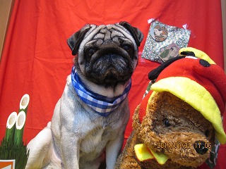 ファイル 7012-2.jpg