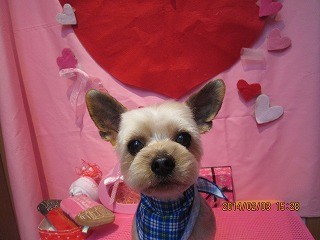 ファイル 7014-2.jpg