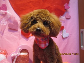 ファイル 7015-2.jpg