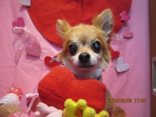 ファイル 7017-1.jpg