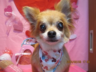 ファイル 7017-2.jpg