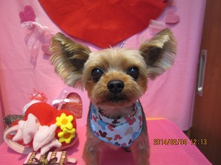 ファイル 7018-2.jpg