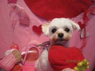 ファイル 7019-1.jpg