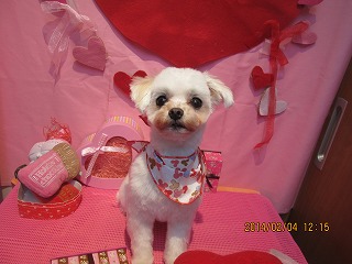 ファイル 7019-2.jpg