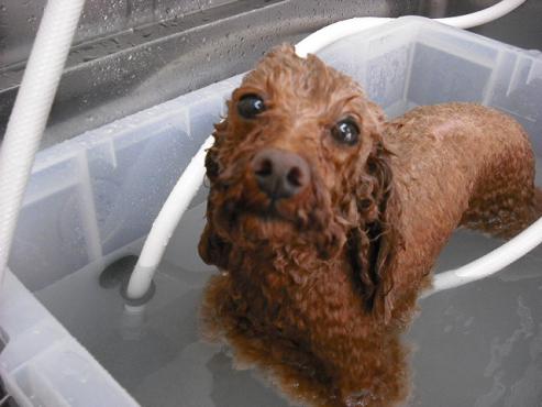 ファイル 702-2.jpg