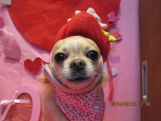 ファイル 7020-2.jpg