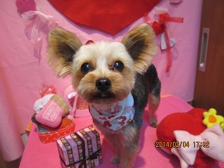 ファイル 7021-1.jpg