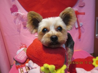 ファイル 7021-2.jpg