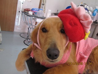 ファイル 7022-2.jpg