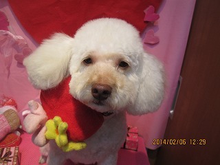 ファイル 7023-2.jpg