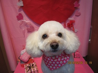 ファイル 7024-1.jpg