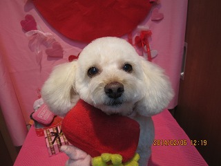 ファイル 7024-2.jpg