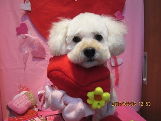 ファイル 7025-2.jpg