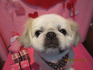 ファイル 7026-2.jpg