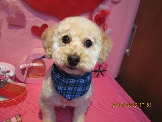 ファイル 7027-1.jpg