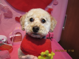 ファイル 7027-2.jpg