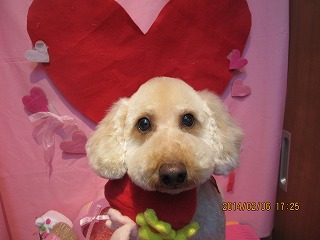 ファイル 7028-1.jpg