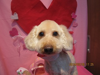 ファイル 7028-2.jpg