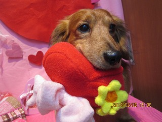 ファイル 7029-2.jpg