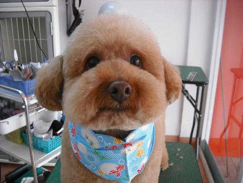 ファイル 703-1.jpg