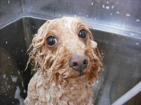 ファイル 703-2.jpg