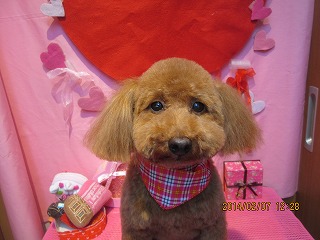 ファイル 7030-1.jpg