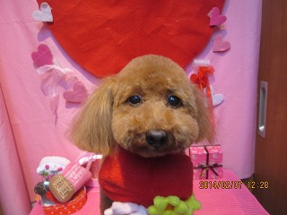 ファイル 7030-2.jpg