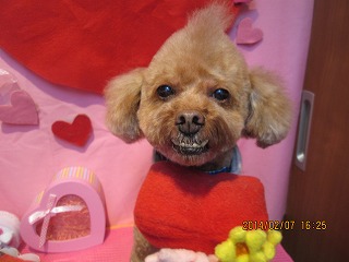 ファイル 7031-2.jpg