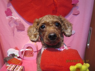 ファイル 7032-2.jpg