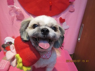 ファイル 7034-2.jpg