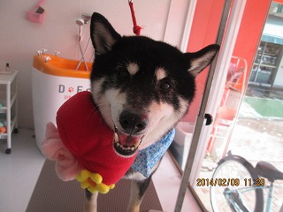 ファイル 7035-2.jpg