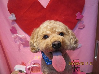 ファイル 7036-1.jpg