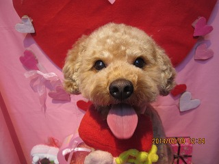 ファイル 7036-2.jpg