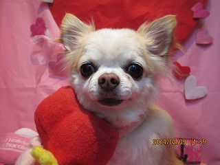 ファイル 7038-2.jpg