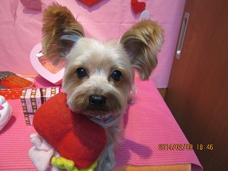 ファイル 7039-2.jpg