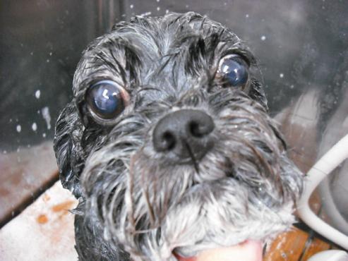 ファイル 704-2.jpg