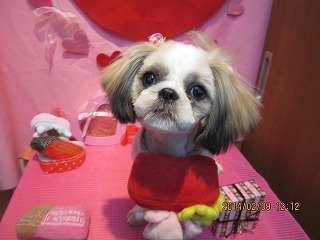 ファイル 7040-1.jpg