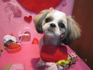 ファイル 7040-2.jpg