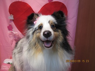 ファイル 7041-1.jpg